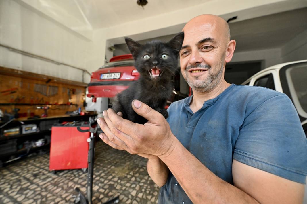Tamirhanenin yeni Çırak'ı görenlerin yüzünü güldürüyor 15